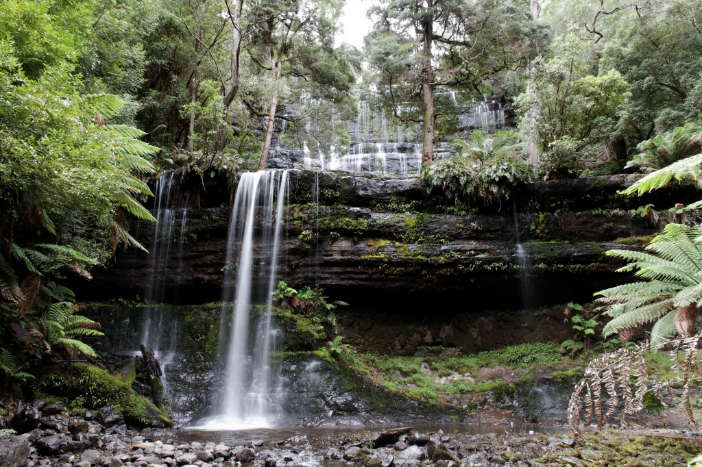 17 - Mt Field NP (4).jpg